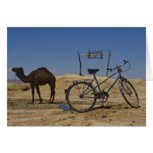 Cartão Transporte sustentável