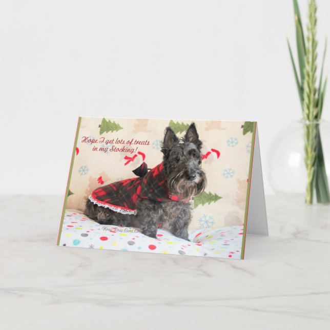 Cartão Tratamentos na minha estaca (Frente)