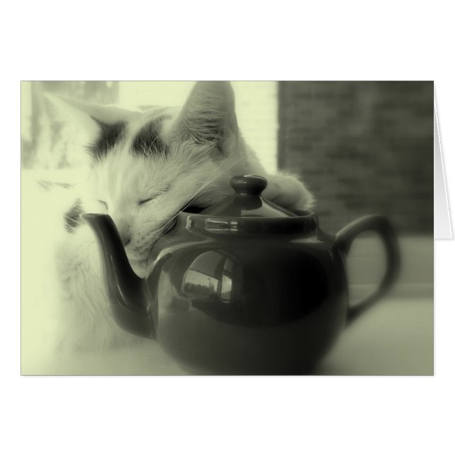 Cartão Travesseiro de bule (Frente Horizontal)