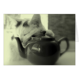 Cartão Travesseiro do bule