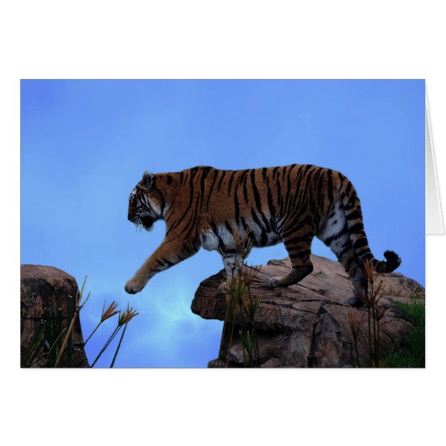 Cartão Travessia do Tigre (Frente Horizontal)