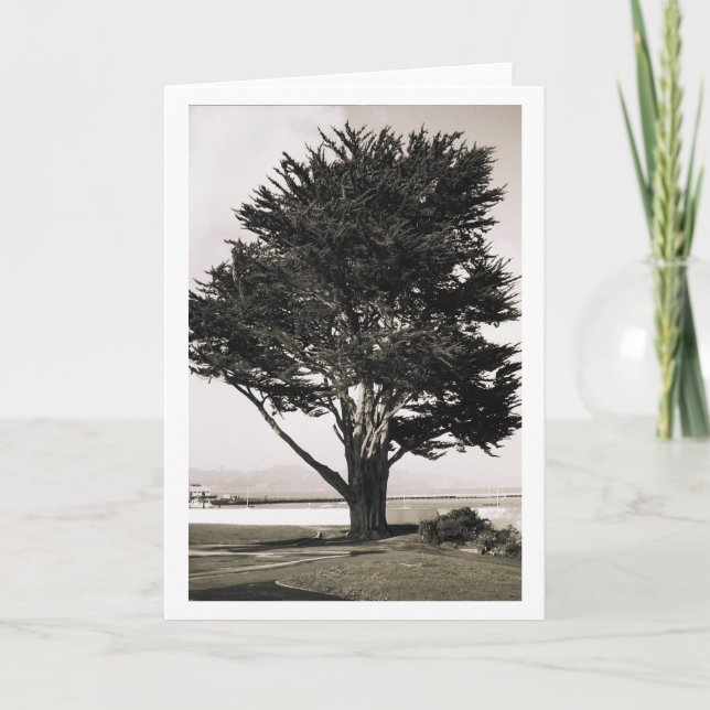 Cartão Tree (Frente)