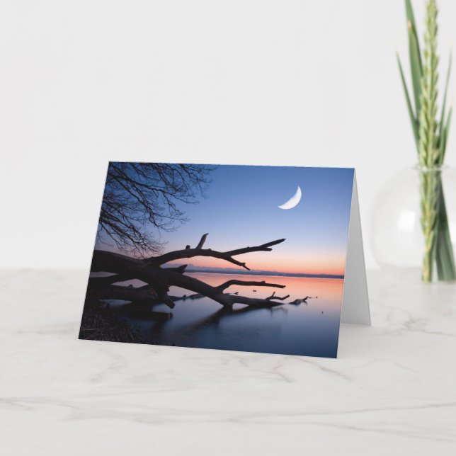 Cartão Tree at Starnberg Lake | Muensing Bavaria Germany (Frente)