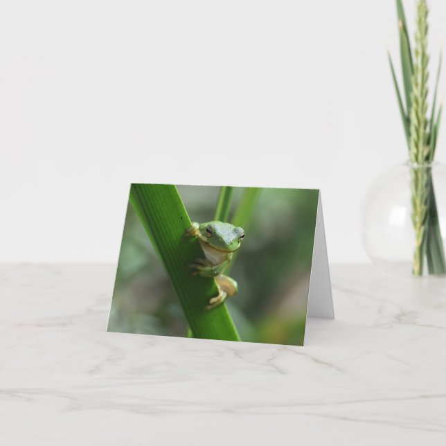 Cartão Tree Frog Friendship Greeting Card (Frente)