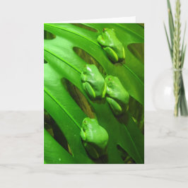 Cartão Tree Frog Greeting Card