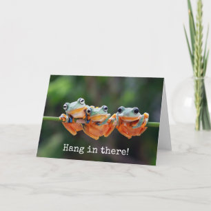 Cartão Tree Frogs Trio - Hang in There Postcard