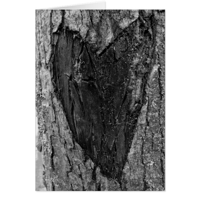 Cartão Tree Heart Carving (Frente)