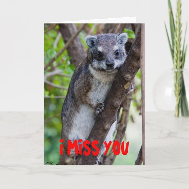 Cartão Tree Hyrax, I MISS YOU (Frente)