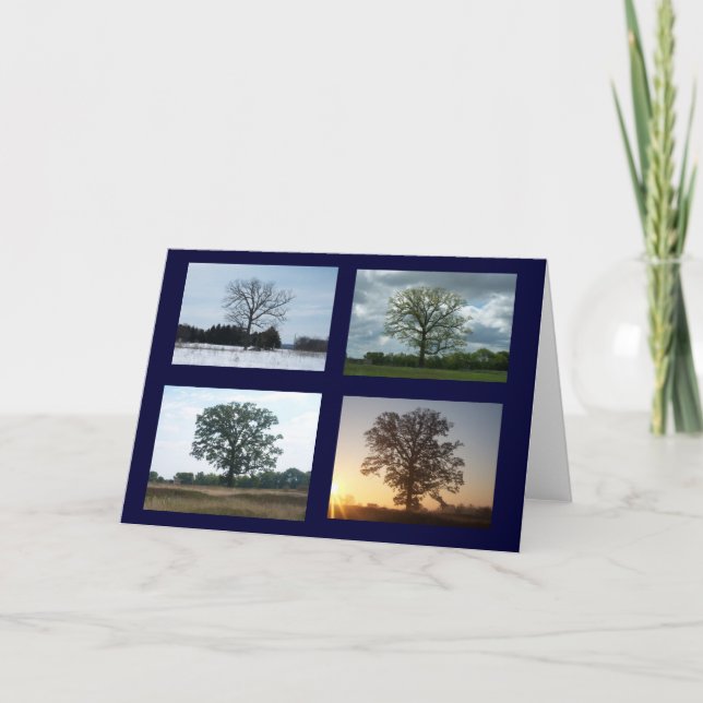 Cartão Tree in 4 Seasons (Frente)