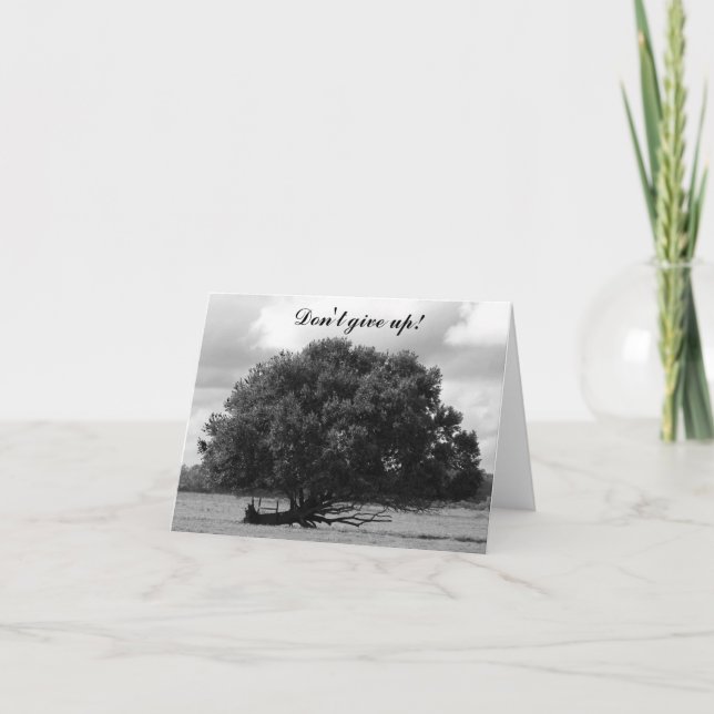 Cartão Tree of Life (Frente)