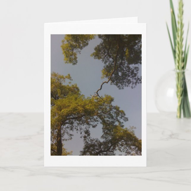 Cartão Tree Of Life Lives Long & Prospers (Frente)