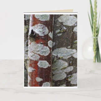 Cartão Tree on Tree Blank Card