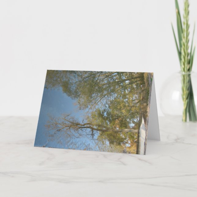 Cartão Tree Reflections at The Mill (Frente)