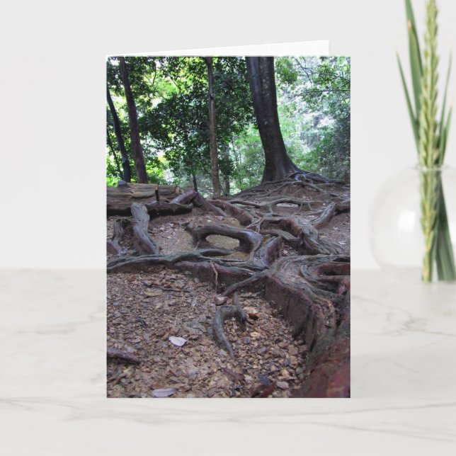 Cartão Tree roots on Mt. Kurama (Frente)