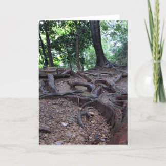 Cartão Tree roots on Mt. Kurama