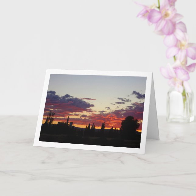 Cartão Tree Silhouette Evening Sunset (Orquídea)