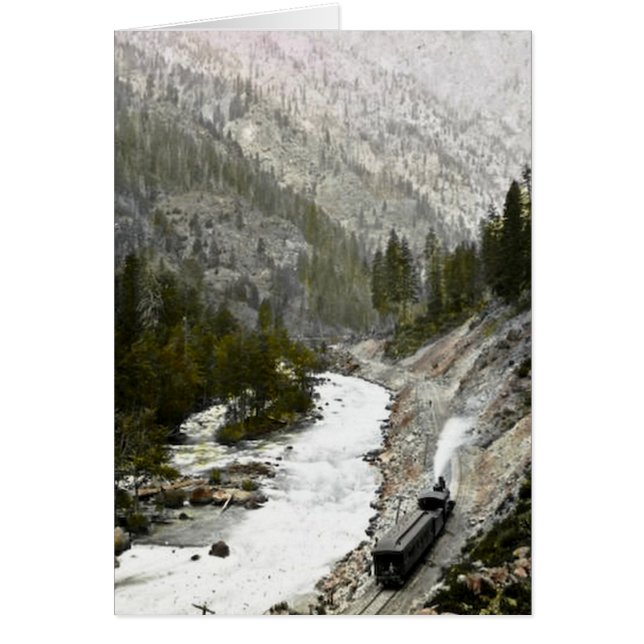 Cartão Trem colorido mão Offcial Photographe (Frente)