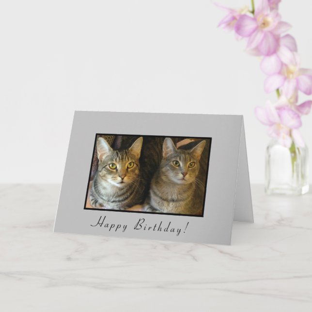 Cartão Trendy Happy Birthday Cats (Orquídea)