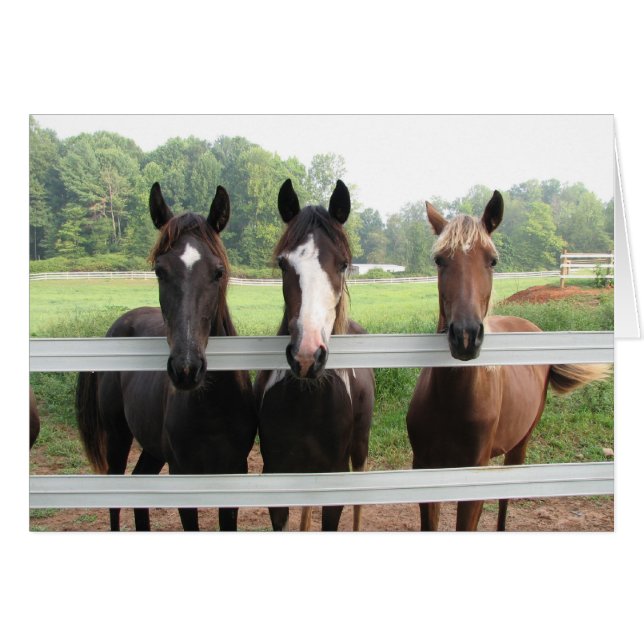 Cartão Três Amigas (Frente horizontal)