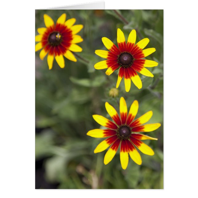 Cartão Três amigos (Frente)