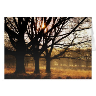 Cartão Três Árvores