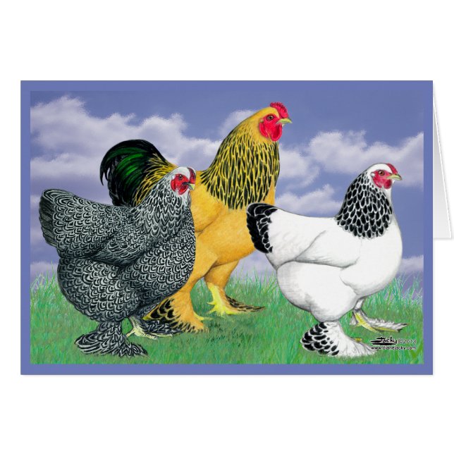 Cartão Três Brahmas (Frente horizontal)