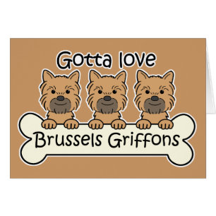 Cartão Três Bruxelas Griffons