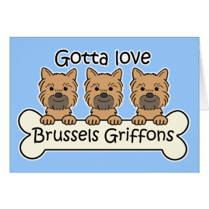 Cartão Três Bruxelas Griffons