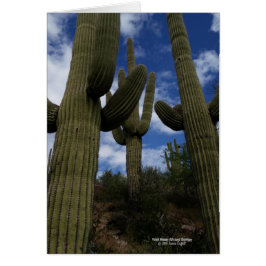 Cartão Três cactos gigantes do Saguaro com céu azul e