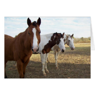 Cartão Três Cavalos (Cartão de Vazio)