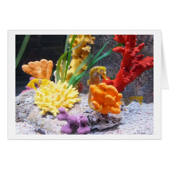 Cartão Três cavalos marinhos (Frente Horizontal)