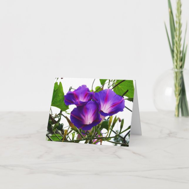 Cartão Três Glórias da Manhã (Frente)