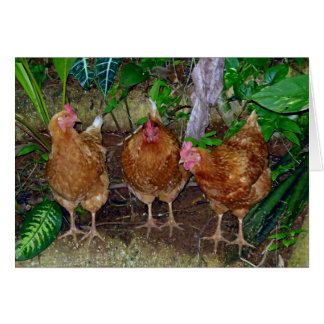 Cartão Três Hens