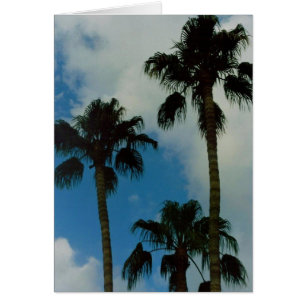 Cartão Três palmas