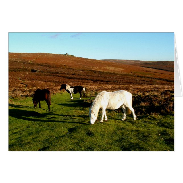 Cartão Três pôneis em Dartmoor (Frente Horizontal)