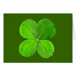 Cartão Trevo de quatro folhas os presentes de Zazzle do