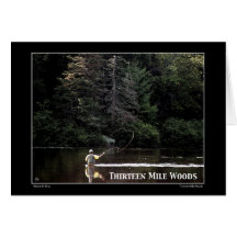 Treze Mile Woods NH