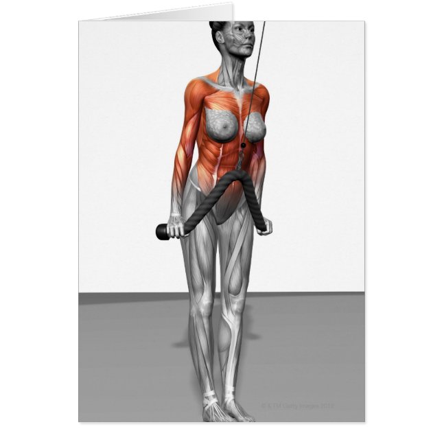 Cartão Triceps Push Downs (Frente)