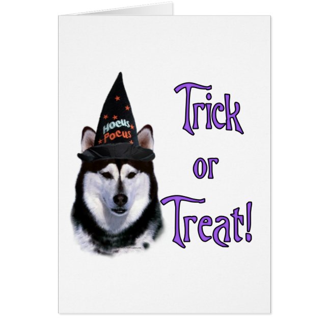 Cartão Trick Malamute do Alaska (Frente)