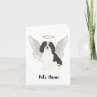 Tricolor Cavalier King Charles Spaniel Simpatia