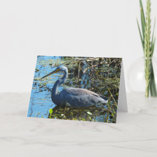 Cartão "Tricolored Heron 1." Greeting Card