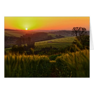 Cartão Trigo da agricultura do por do sol