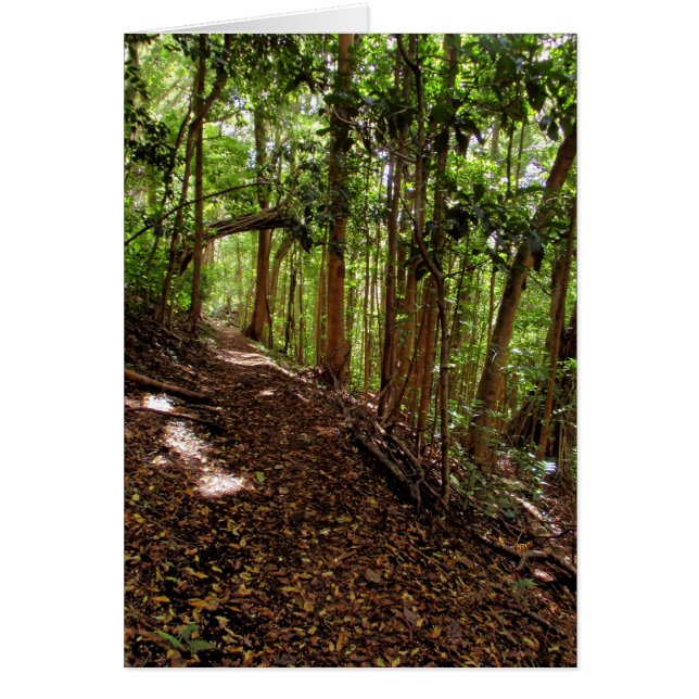 Cartão Trilha de Caminho de Tantalus (Frente)