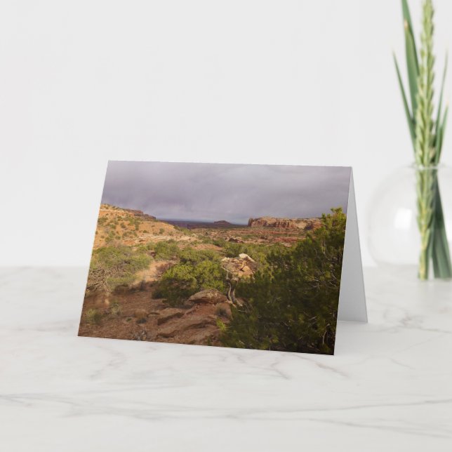 Cartão Trilha de Primaveras de Pescoço no Parque Nacional (Frente)