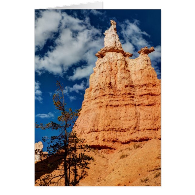 Cartão Trilha do Jardim da Rainha Victoria (Frente)