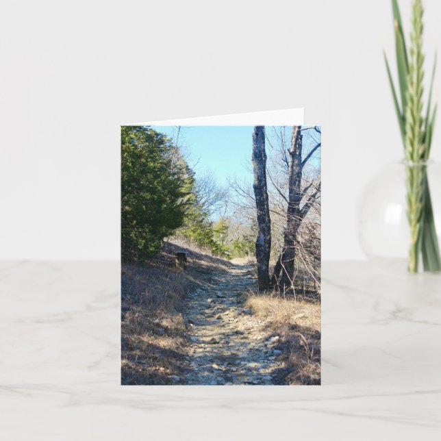 Cartão Trilha Limestone (Frente)