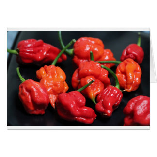 Cartão Trinidad Scorpion Hottest Chili