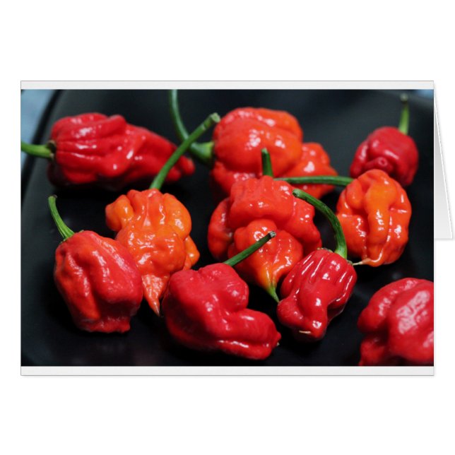 Cartão Trinidad Scorpion Hottest Chili (Frente Horizontal)