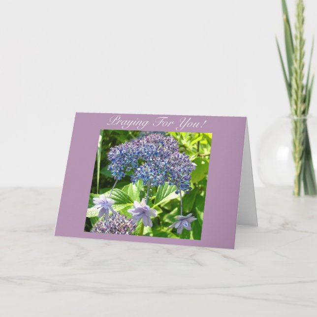 Cartão Trinity Praying For You (Frente)