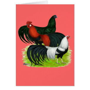 Cartão Trio de Galeria de Longa Distância